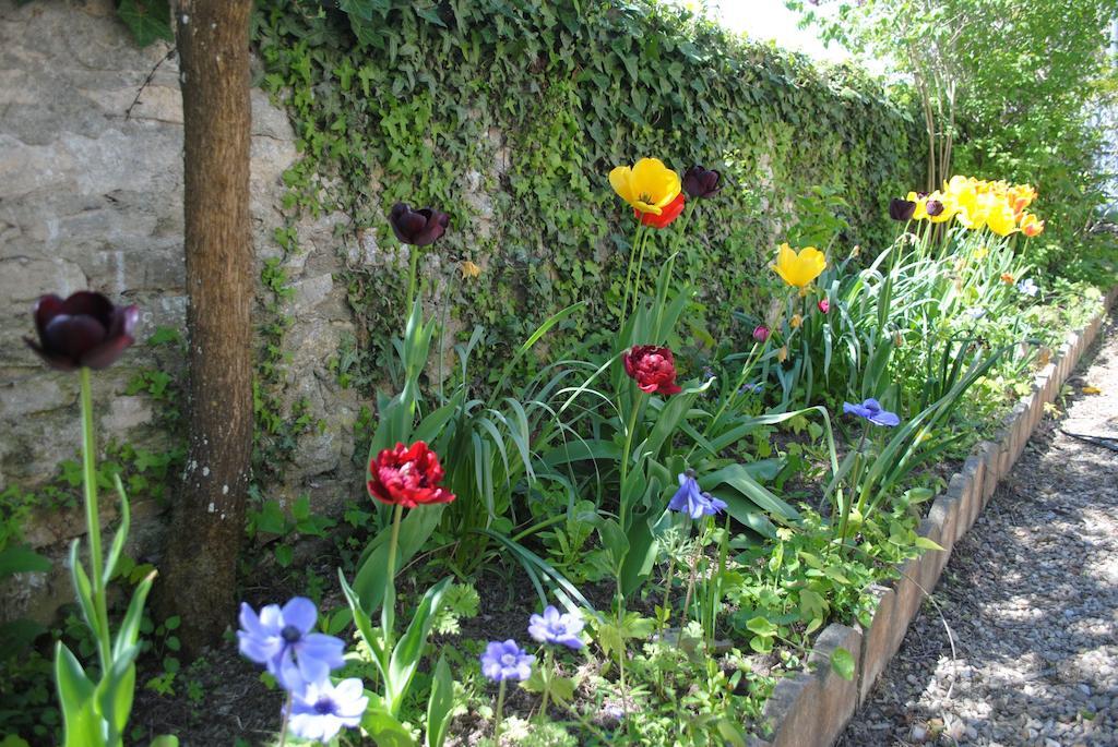Gites Les Rainettes Vienne-en-Bessin Exterior photo