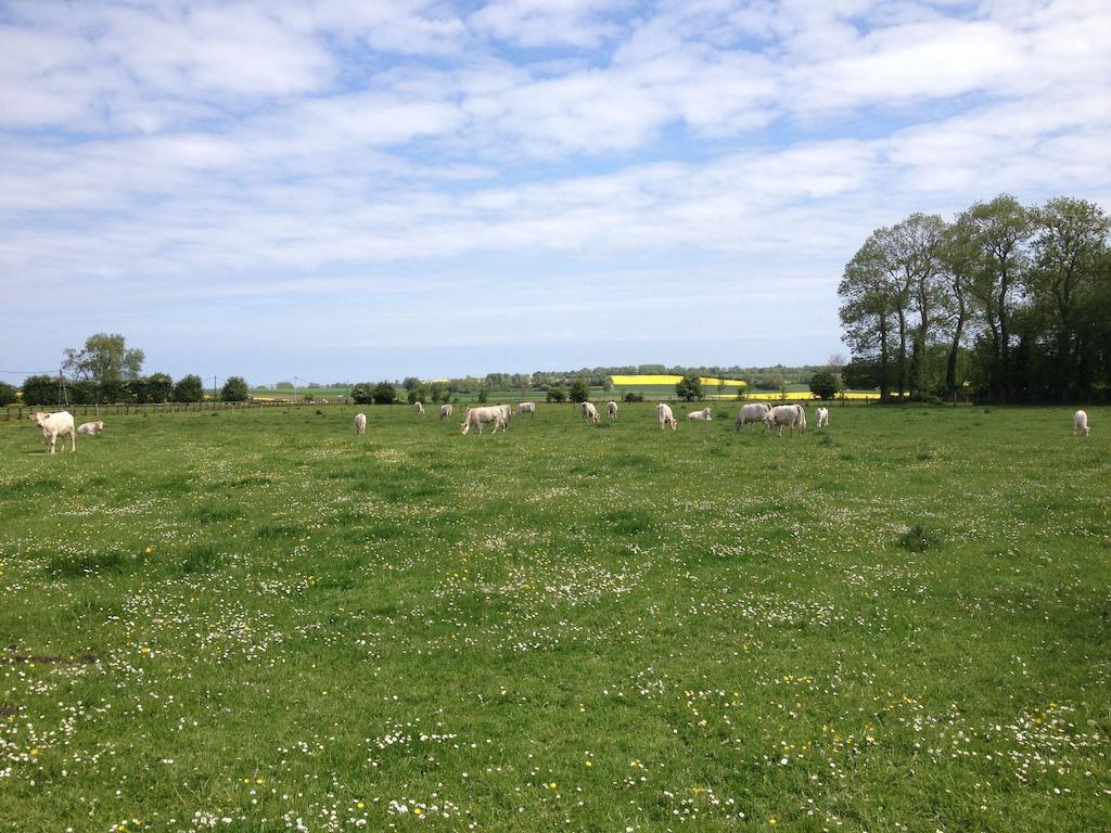 Gites Les Rainettes Vienne-en-Bessin Exterior photo